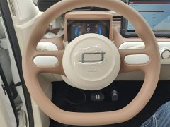 FAW Besturn Xiaoma 222km Dynamic Edition - photo 10