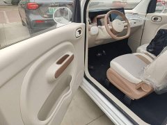 FAW Besturn Xiaoma 222km Dynamic Edition - photo 15