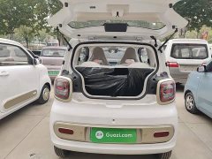 FAW Besturn Xiaoma 222km Dynamic Edition - photo 18