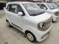 FAW Besturn Xiaoma 222km Dynamic Edition - photo 3
