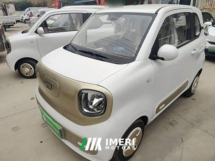 FAW Besturn Xiaoma 222km Dynamic Edition