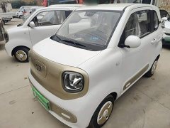 FAW Besturn Xiaoma 222km Dynamic Edition - photo 1