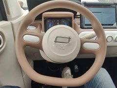 FAW Besturn Xiaoma 222km Dynamic Edition - photo 10