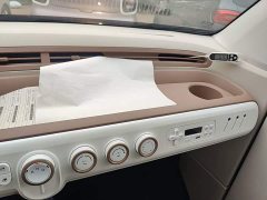 FAW Besturn Xiaoma 222km Dynamic Edition - photo 12