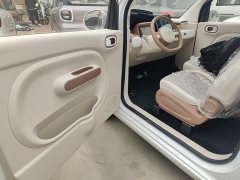 FAW Besturn Xiaoma 222km Dynamic Edition - photo 15