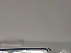 FAW Besturn Xiaoma 222km Dynamic Edition - photo 17