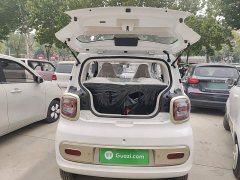 FAW Besturn Xiaoma 222km Dynamic Edition - photo 18