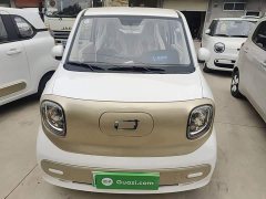 FAW Besturn Xiaoma 222km Dynamic Edition - photo 2