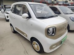 FAW Besturn Xiaoma 222km Dynamic Edition - photo 3