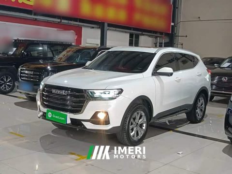 2023 Haval H6 National Trend 1.5GDIT Automatic Champion Edition - ავტომობილი ჩინეთიდან