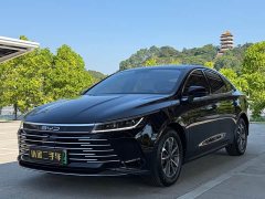 BYD Destroyer 05 Glory Edition DM-i 55KM Luxury - photo 1