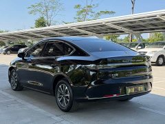 BYD Destroyer 05 Glory Edition DM-i 55KM Luxury - photo 13