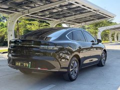 BYD Destroyer 05 Glory Edition DM-i 55KM Luxury - photo 15