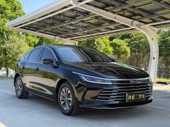 BYD Destroyer 05 Glory Edition DM-i 55KM Luxury - photo 3