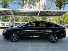 BYD Destroyer 05 Glory Edition DM-i 55KM Luxury - photo 4