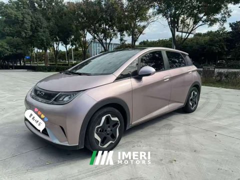 2022 BYD Dolphin 405km Fashion Edition - ავტომობილი ჩინეთიდან