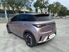 BYD Dolphin 405km Fashion Edition - photo 6