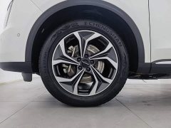 Haval Xiaolong MAX 1.5L Hi4 105 AWD Smart Flagship Edition - photo 17