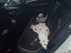 Changan CS55 PLUS Blue Whale 1.5T DCT Luxury - photo 18