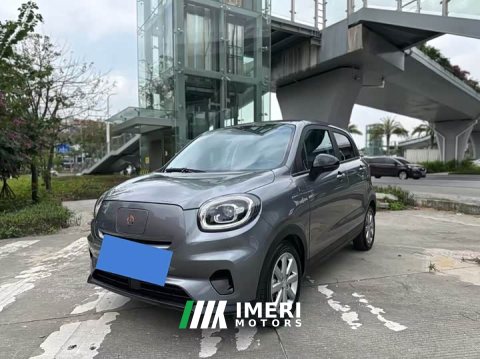 2022 Leapmotor T03 Agate Edition - car from China
