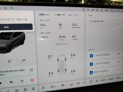 Li Auto L9 Max - ფოტო 11