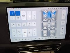 Li Auto L9 Max - ფოტო 12