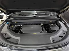 Li Auto L9 Max - ფოტო 19