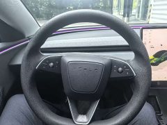 Tesla Model 3 Rear-Wheel Drive - ფოტო 10