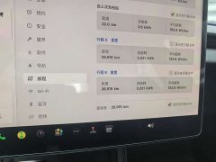 Tesla Model 3 Rear-Wheel Drive - ფოტო 6
