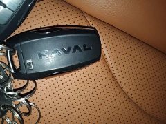 Haval H9 2.0T Gasoline AWD Extreme Edition - ფოტო 11