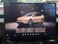 Tesla Model Y L Long Range All-Wheel Drive - ფოტო 6