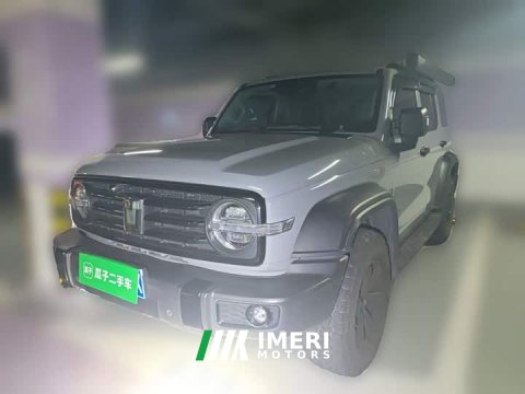 2022 Tank 300 Off-Road Edition 2.0T Conqueror - автомобиль из Китая