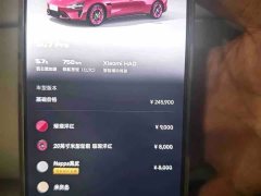 Xiaomi SU7 Rear-Wheel Drive Ultra-Long Range Advanced Autonomous Driving Pro - фото 17