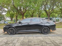 Dongfeng Yixuan MAX 1.5T Cool Dad Edition - photo 16