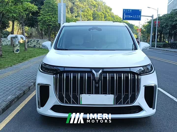Voyah Lantu Dreamchaser Low Carbon Edition Family - car from China
