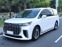 Voyah Lantu Dreamchaser Low Carbon Edition Family - photo 2