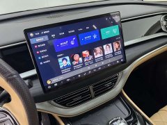 Denza D9 DM-i 980 Four-Wheel Drive Premium - ფოტო 10