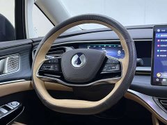 Denza D9 DM-i 980 Four-Wheel Drive Premium - ფოტო 16