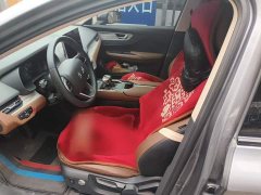 FAW Red Flag E-QM5 560km PLUS - фото 16