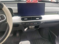 Geely Panda 210km Panda Kart - ფოტო 13