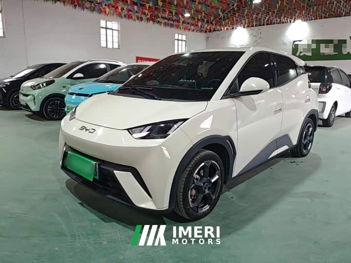 BYD Seagull Freedom Edition - ავტომობილი ჩინეთიდან