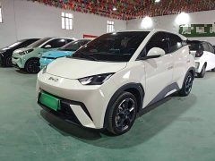 BYD Seagull Freedom Edition - ფოტო 1