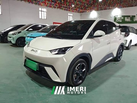 2023 BYD Seagull Freedom Edition - ავტომობილი ჩინეთიდან