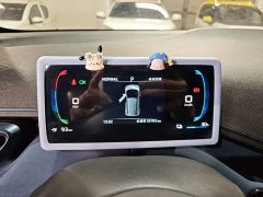 BYD Seagull Freedom Edition - ფოტო 11