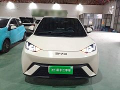 BYD Seagull Freedom Edition - ფოტო 2