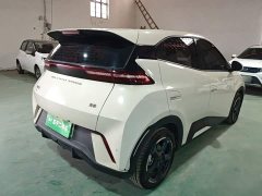 BYD Seagull Freedom Edition - ფოტო 6