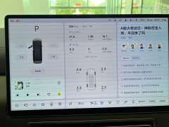 Li Auto Li Xiang MEGA Ultra - ფოტო 15