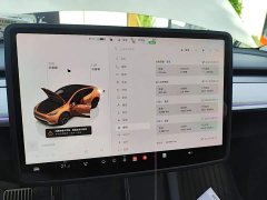 Tesla Model Y Rear-Wheel Drive - фото 12