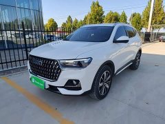 Haval H6 National Trend Edition 1.5T Automatic Champion Version - ფოტო 1