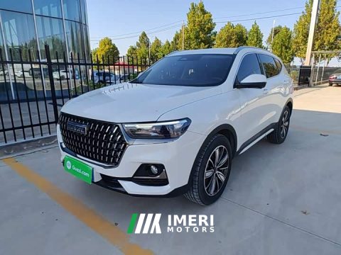 2023 Haval H6 National Trend Edition 1.5T Automatic Champion Version - ავტომობილი ჩინეთიდან